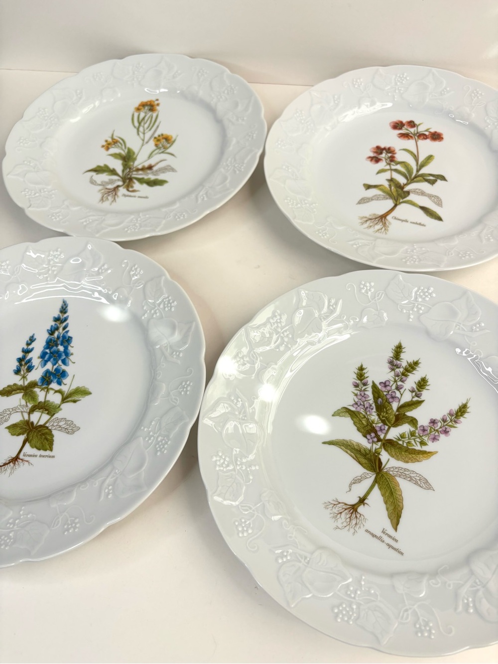 Dansk Ivy Embossed White Porcelain Flower Botanical Luncheon Plates France Set 4